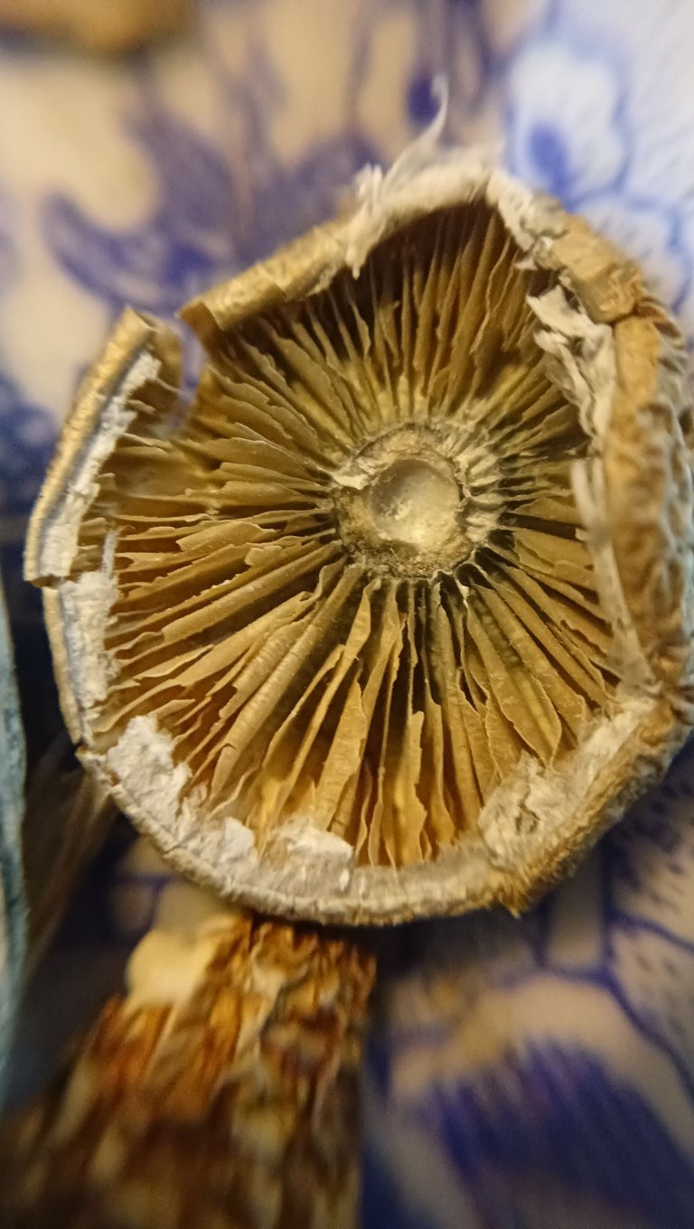 1000029841.jpg
