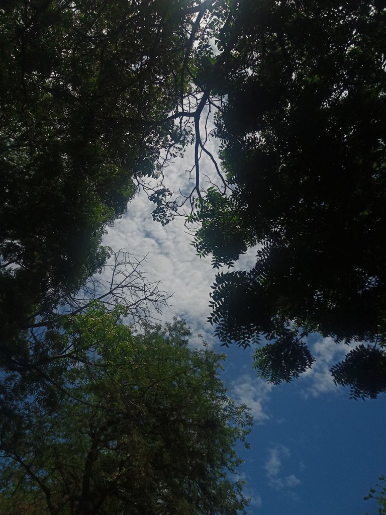 1 648.jpg