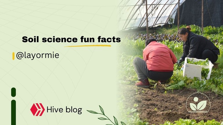 Soil science fun facts.jpg