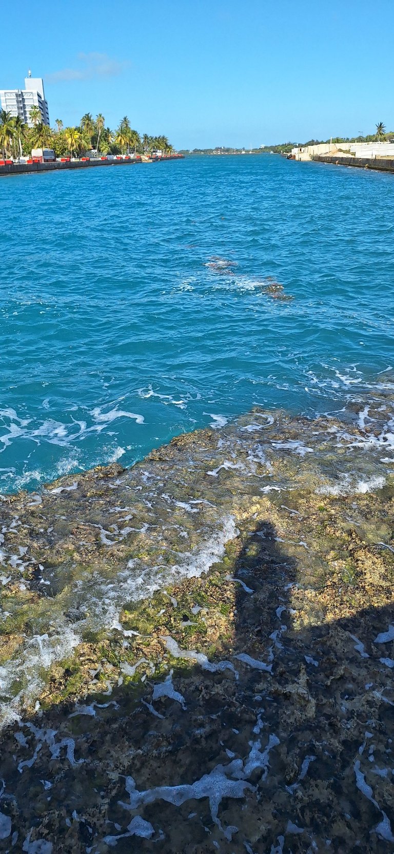 1000167176.jpg