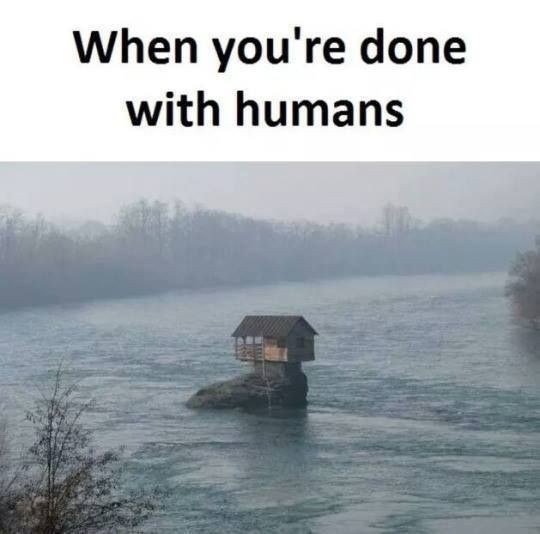1000161028.jpg