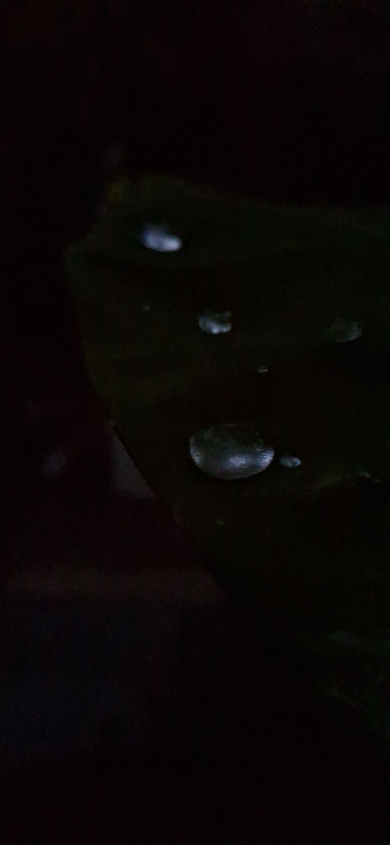 1000208975.jpg