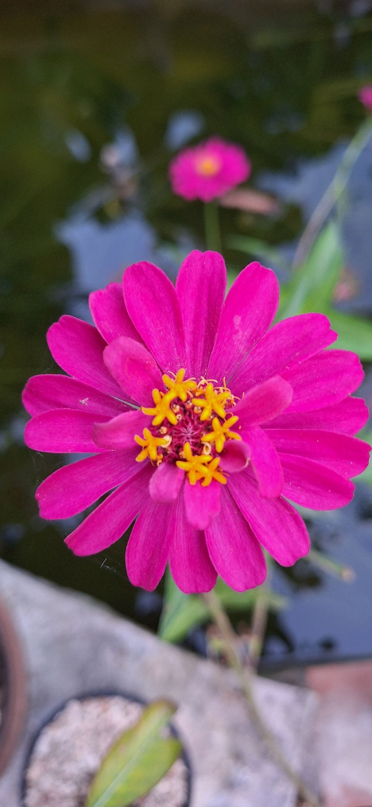 1000161672.jpg