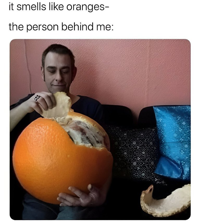 1000161851.jpg