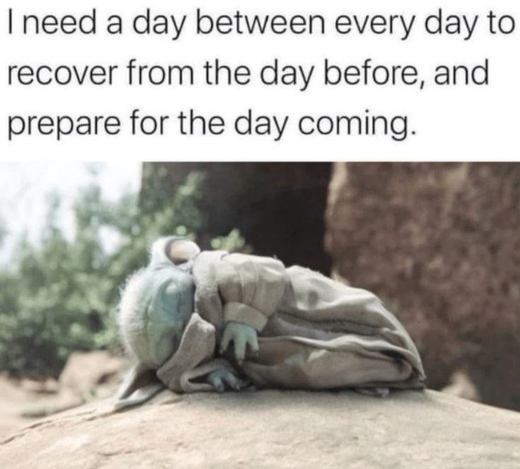 1000161027.jpg