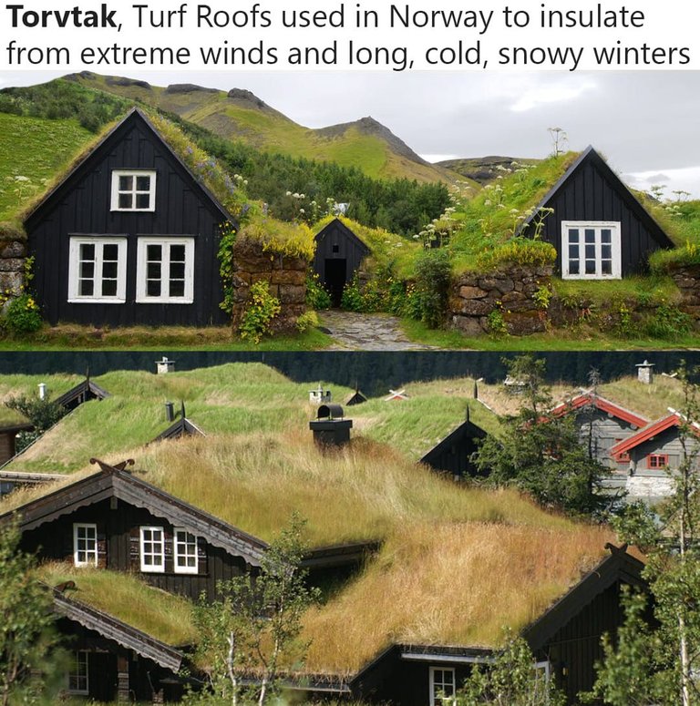 1271876 turf roof.jpg