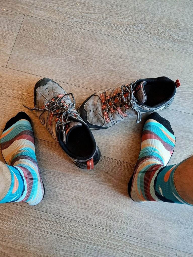 20250512_073756~2.jpg