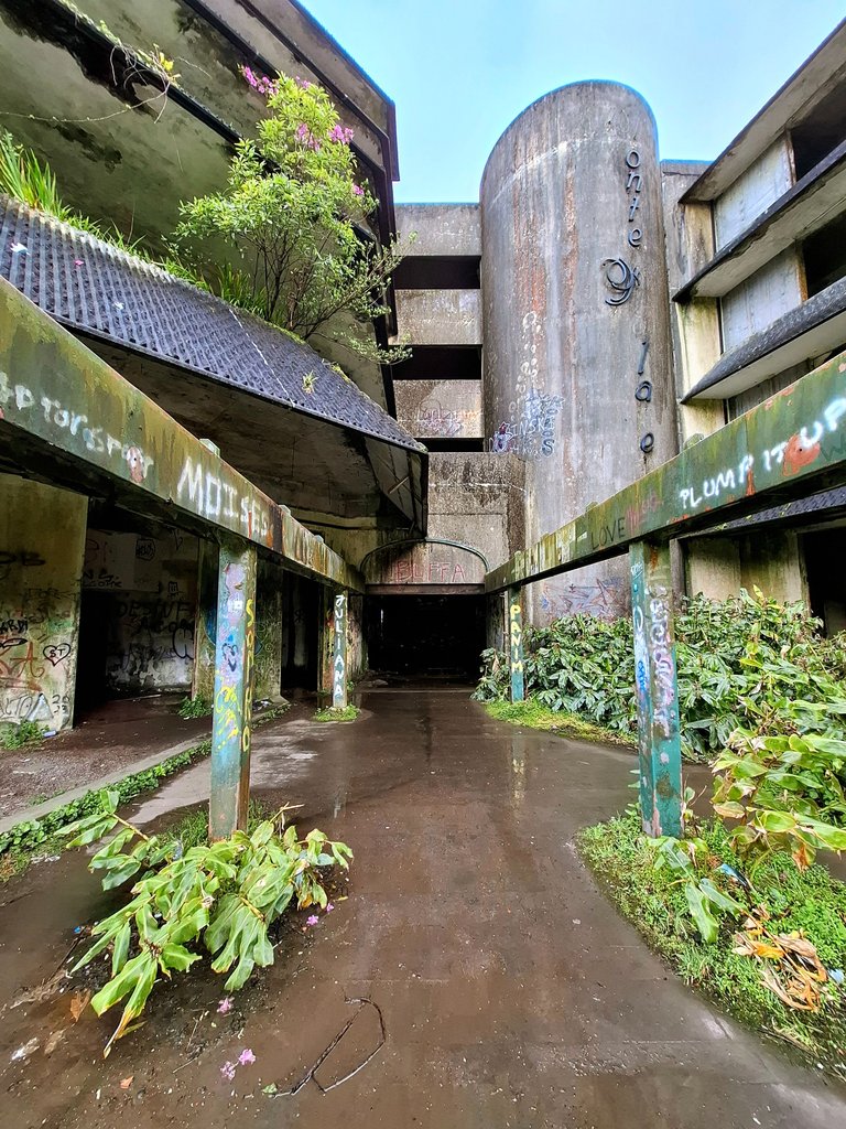 20250512_094340~2.jpg