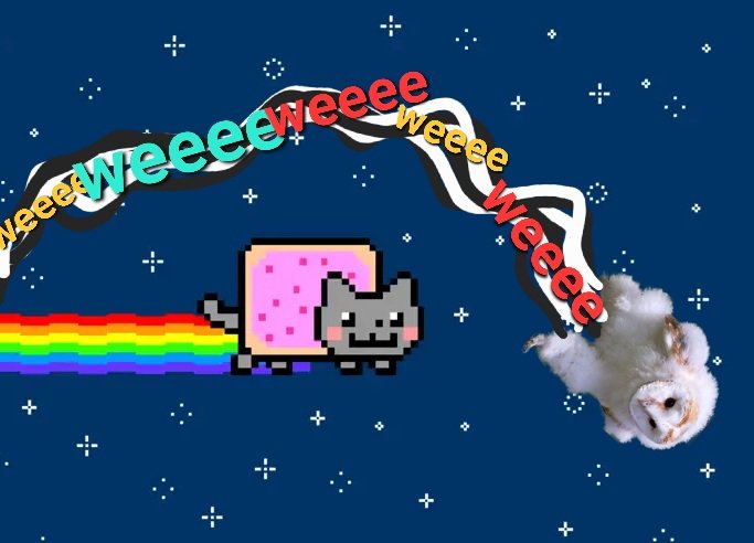 768x492_le-mythique-nyan-cat-est-mis-aux-encheres.webp