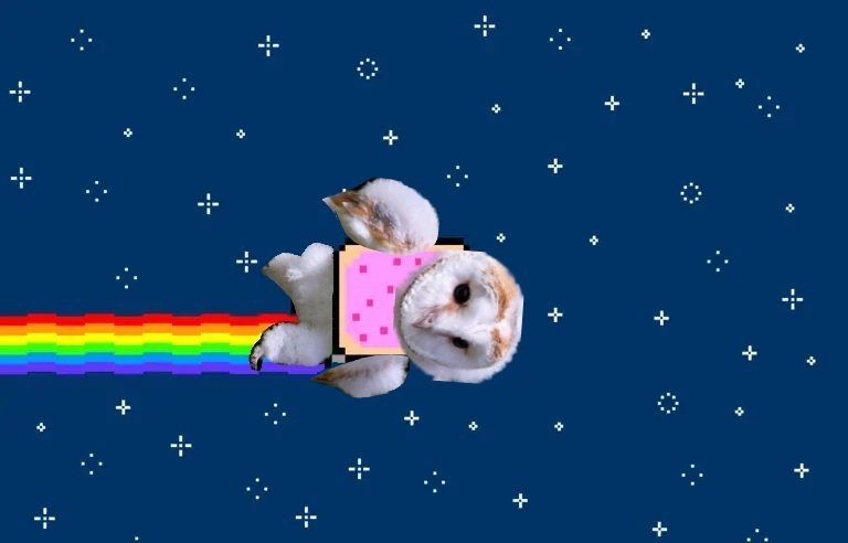 768x492_le-mythique-nyan-cat-est-mis-aux-encheres (1).webp