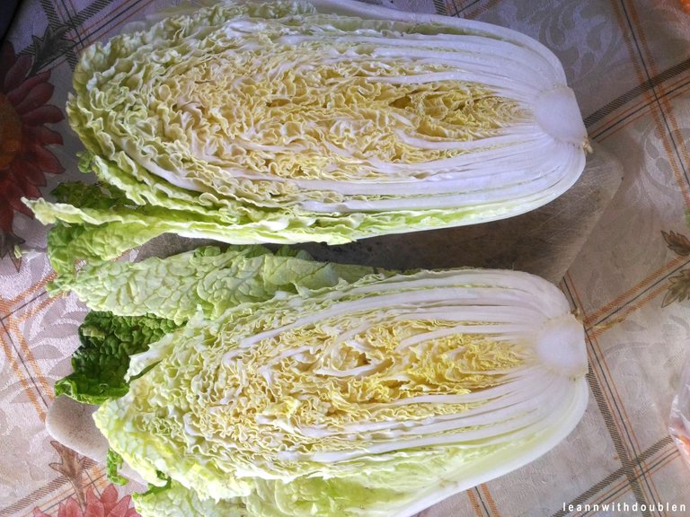 cabbage2.jpg