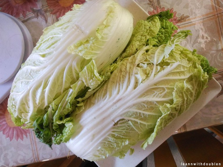 cabbage ingredient.jpg