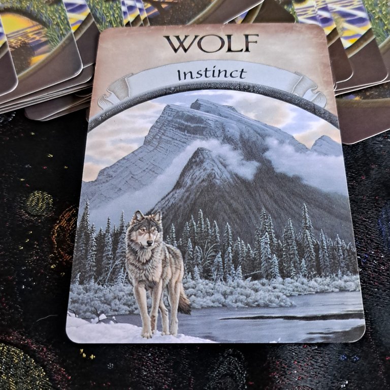 Such a beautiful card and a beautiful animal.