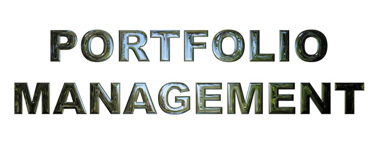 portfolio-management-g1fbd0905d_1920.jpg