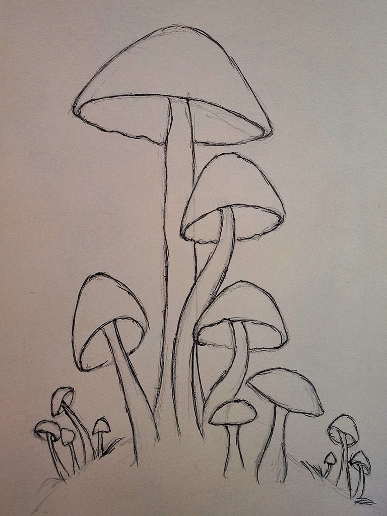 20250412_081945.jpg