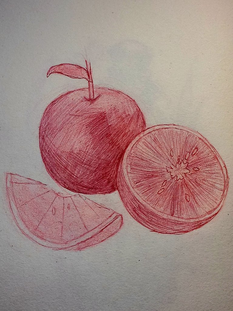 20250829_133600.jpg