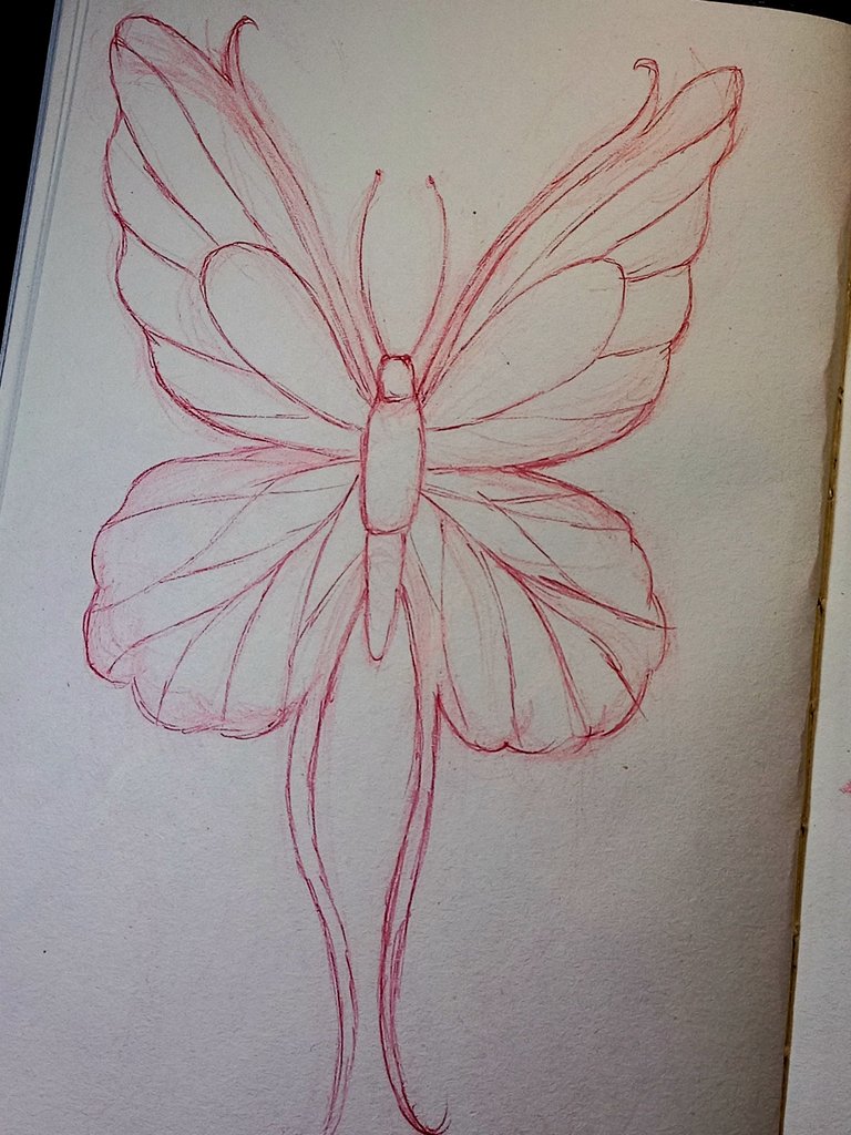 20250819_202949.jpg