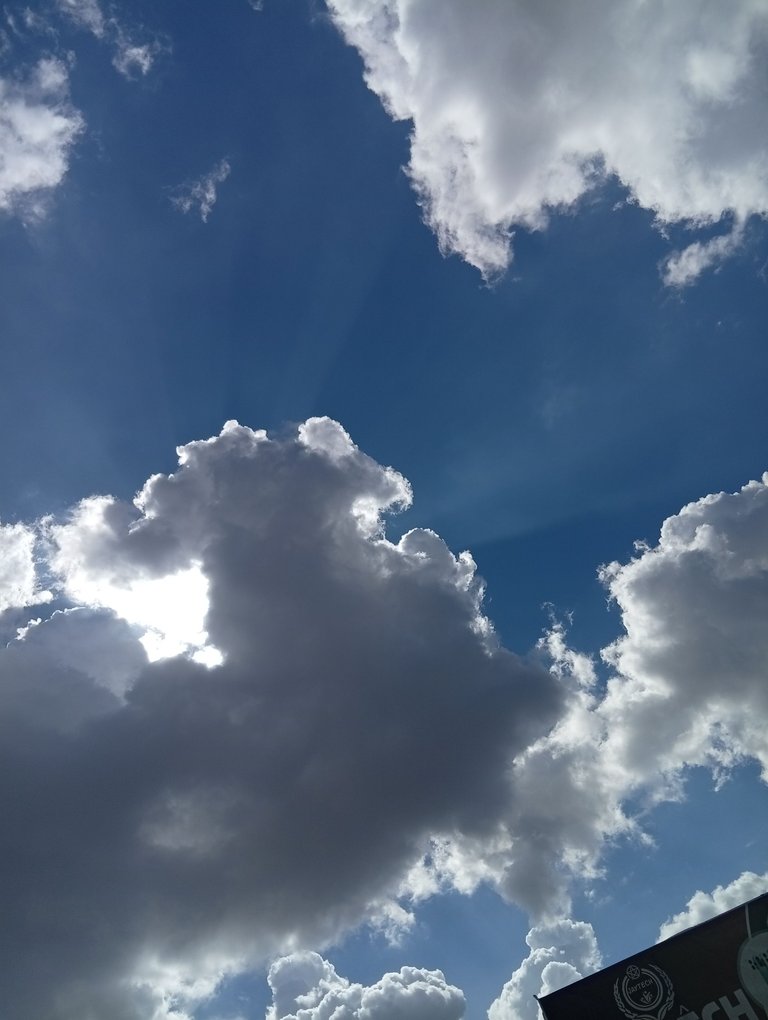 1000068601.jpg