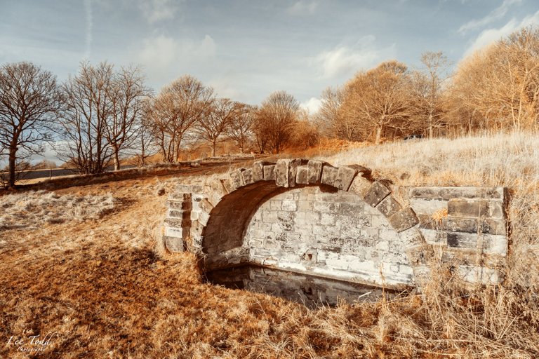 Heath Common Infrared-1388-HDR.jpg