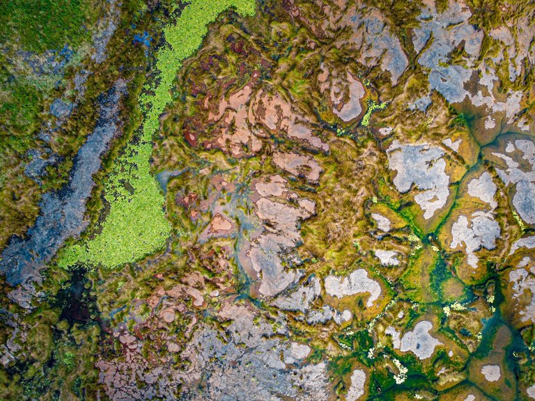 DJI_0212.jpg