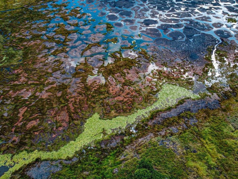 DJI_0210.jpg