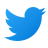 icons8twitter48 1.png