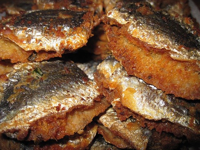 fried-fish-1218523_640.jpg