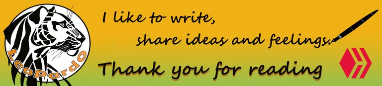 Banner autor.jpg