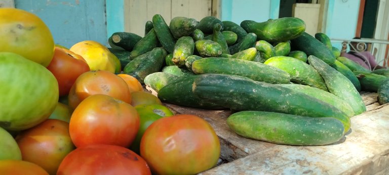 pepinos y tomates.jpg