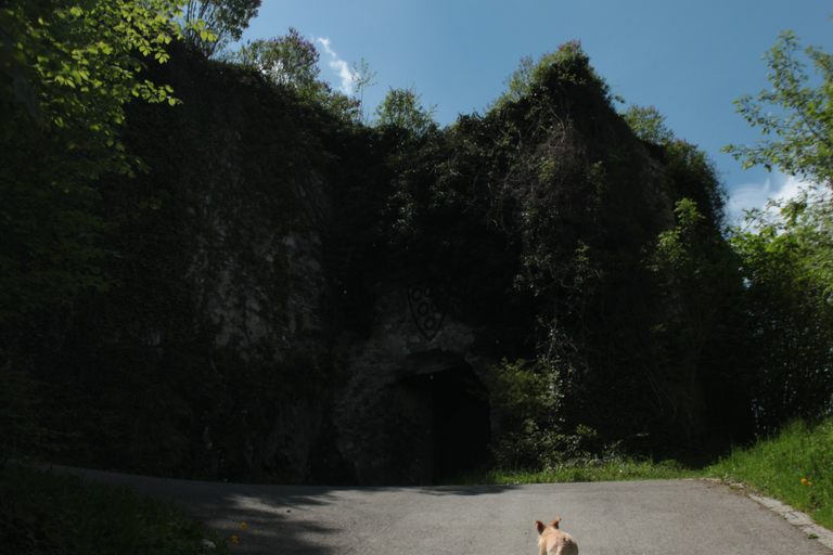 The castle gate is worthy of a vampire film