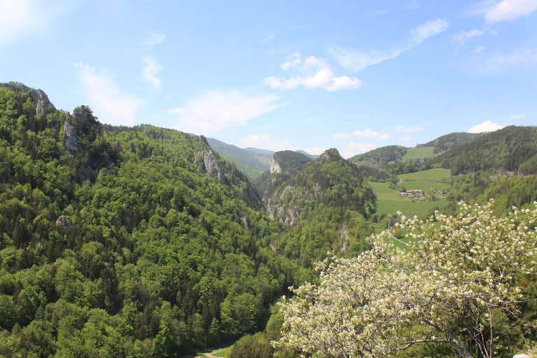 A view to the valley and gorge (Klamm) beyond