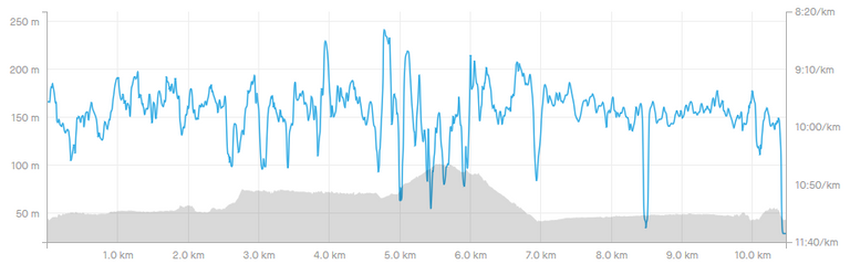 screenshot-www.strava.com-2021.04.05-19_57_39.png