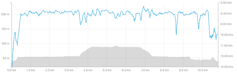 screenshotwww.strava.com2020.05.2021_42_40.png