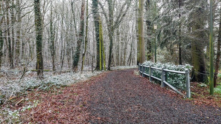DSC_1013.JPG