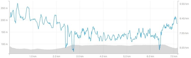 screenshotwww.strava.com2020.04.0221_57_40.jpg