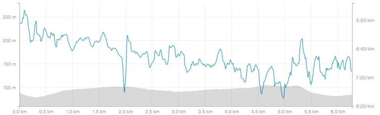 screenshotwww.strava.com2020.03.2419_49_43.jpg