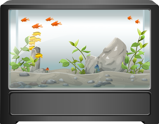 aquarium-g5ab405771_1280.png