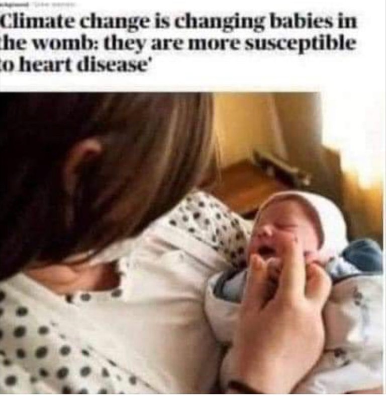 climate change infant heart defects.jpeg