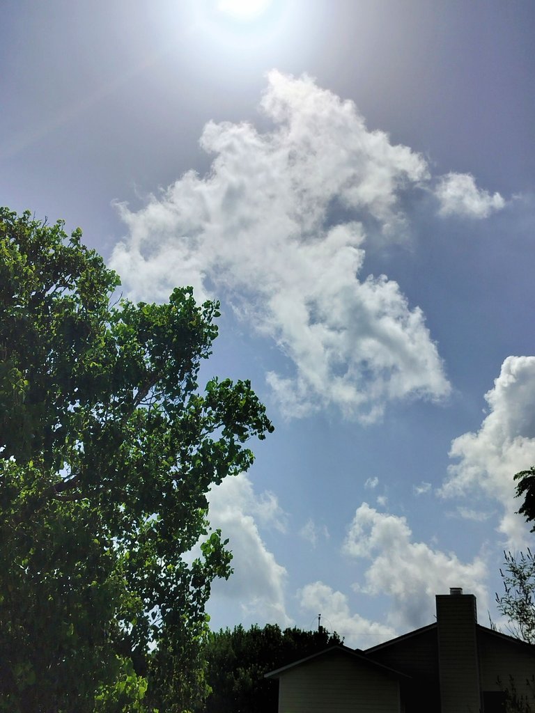 IMG_20250729_205334.jpg