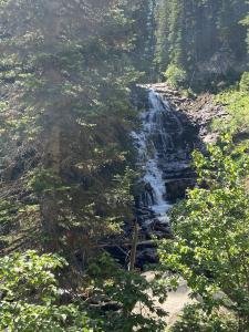 waterfall through trees.jpg