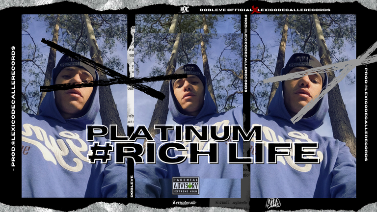 PLATINUM RICH LIFE  (1).png