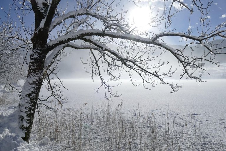 winter-3061397_1280.jpg