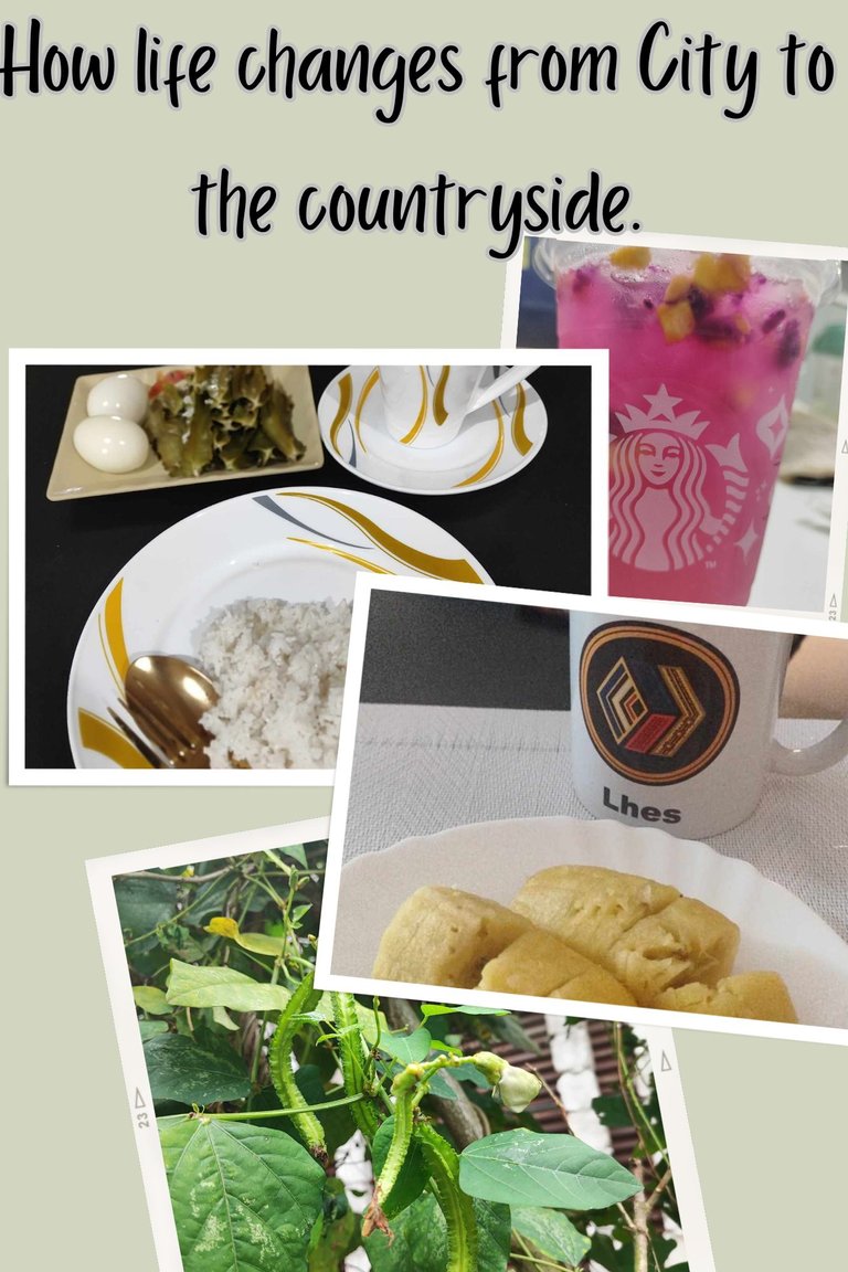 Brown Vintage Travel Moodboard Photo Collage.jpg