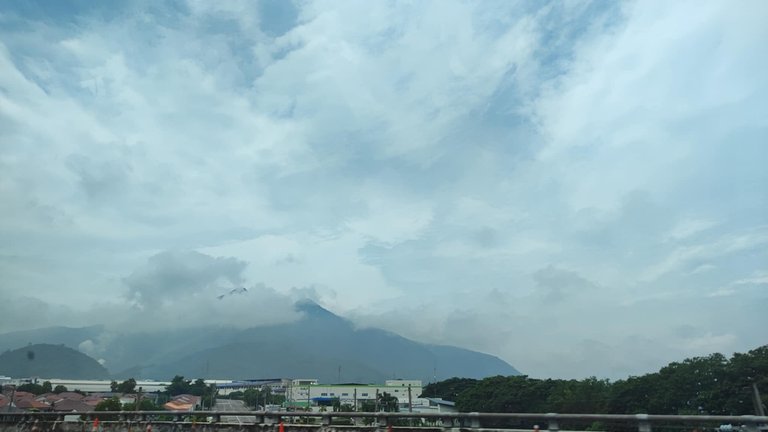 b65aaef9-c7b4-448b-b708-bb821d85532a.jpg