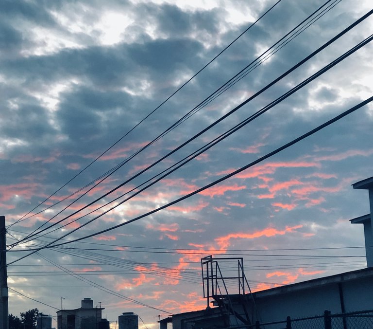 IMG_0514.jpeg