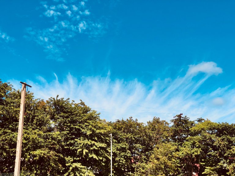 IMG_0304.jpeg