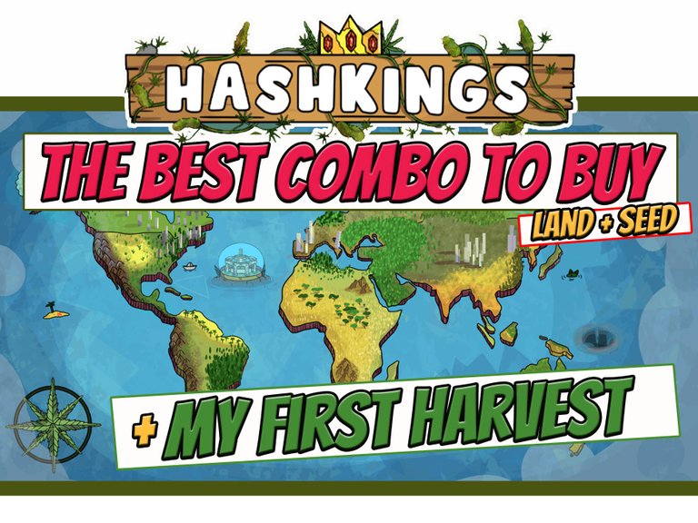 HashkingsTheBestCombo.jpg