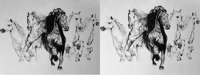 165_Hand_Pencil_Drawing_Horses_15062020_secuencia4.jpg