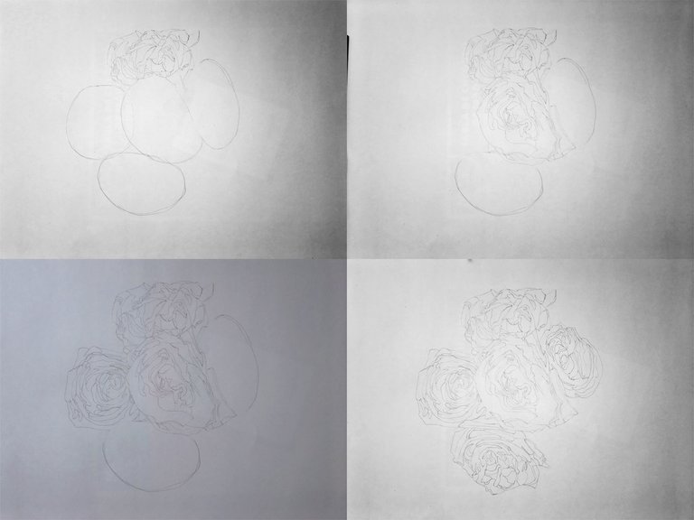 175_Hand_Drawing_Roses_26062020_secuencia1.jpg