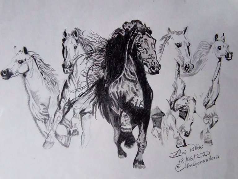 165_Hand_Pencil_Drawing_Horses_15062020_Destacado.jpg